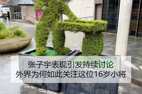 张子宇表现引发持续讨论 外界为何如此关注这位16岁小将